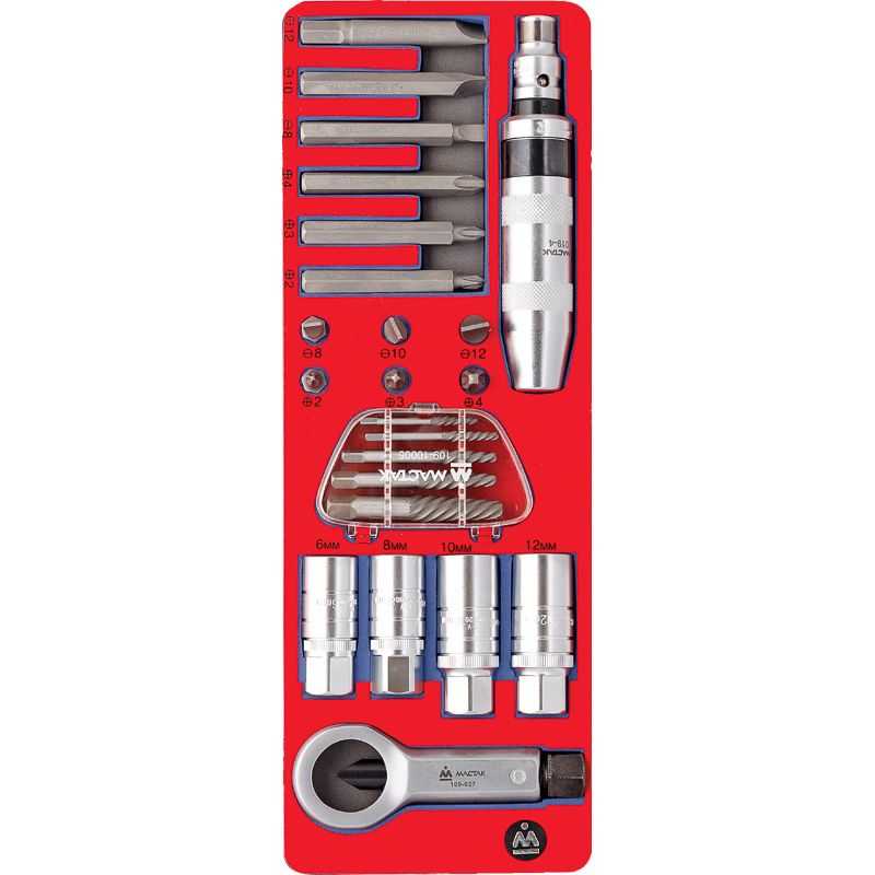 Набор демонтажный с ударной отверткой, ложемент, 24 предмета МАСТАК 5-19424 Ложементы с инструментом фото, изображение